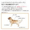 Pet – Cool silk & Collagen 300ml Refill