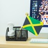 TSMD Jamaica Stick Flag Jamaican Small Mini Hand Held Flags,5x8