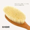 G.B.KENT All Care Clothes Brush High-Grade Pig Hair British Royal