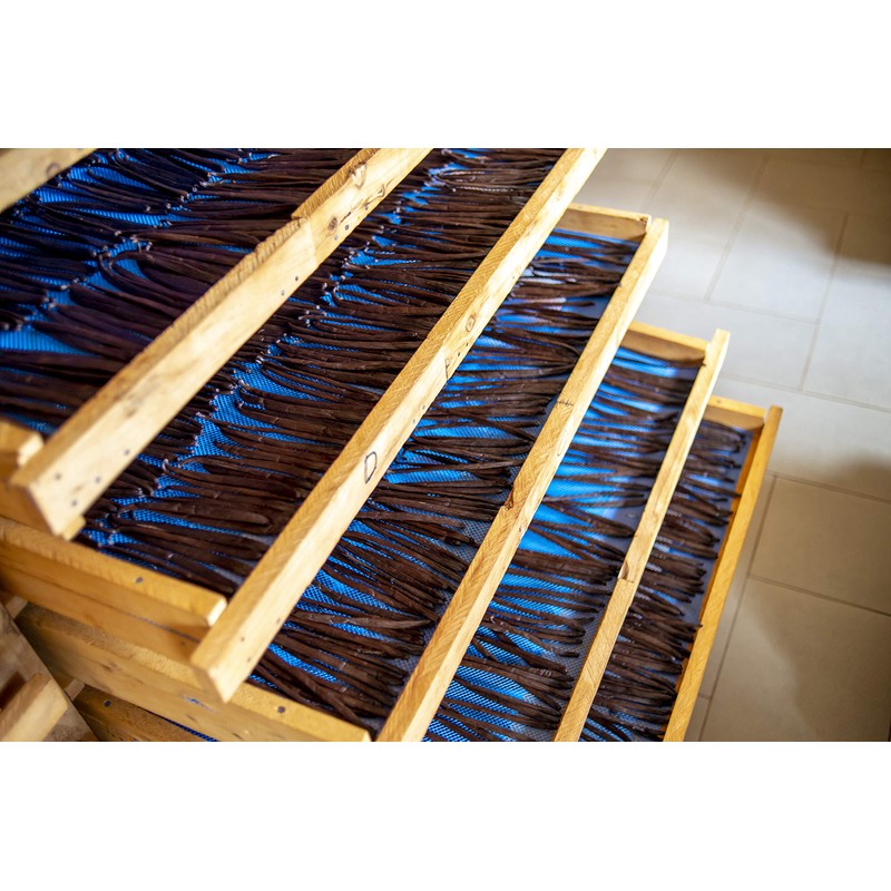 Kiddu - 10 Gourmet Vanilla Beans for Baking - Whole