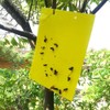 50Pcs Double Sided Insect Yellow Catching Board Sticky Flying Insect