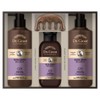 Dr. Groot Hair & Scalp VIP Spa Gift Set / 닥터그루트 헤어앤스칼프 VIP 스파 선물세트