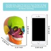 New Anatomy Skull Model 15 Parts Human Anatomy Exploded Skull