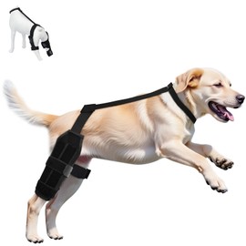 Adjustable Dog ACL Knee Brace - Hind Leg Support, Ligament Recovery, Cruciate Care - Large/Medium Sizes - Extra Stabilizers, Comfortable Wrap with Straps(Black L Size)