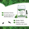 Puremint Roach Repellent, 128 fl oz
