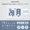 ADESSO Mega Day Radio Daily Calendar, Digital Calendar, Large Screen,