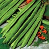 Runner Bean Scarlet Emperor – Fresh and Tasty Beans –