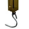 Luggage/Fishing Pocket Spring Balance Weighing Measuring Scales Max 25 kgs