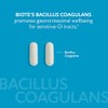 Bacillus Coagulans de BioTE Medical