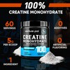 Venture Pal Creatine Monohydrate – Micronized, Unflavored Powder for Men