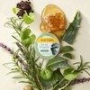 [Burt's Bees] Rescue-Q Ointment with Cica 17g, 1 piece / [버츠비] 레스-큐 오인트먼트 위드 시카 17g, 1개