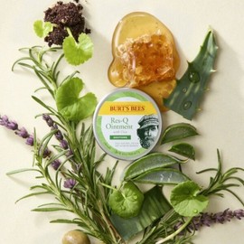[Burt's Bees] Rescue-Q Ointment with Cica 17g, 1 piece / [버츠비] 레스-큐 오인트먼트 위드 시카 17g, 1개