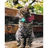 Joytale Cat Collar with Bell and Bow Tie, Soft Tartan,