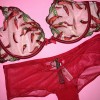 Victoria's Secret 32DDD,34B,34C,