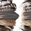 40pcs Natural Pheasant Feathers Bulk Spotted Feathers 5 Styles Mixed
