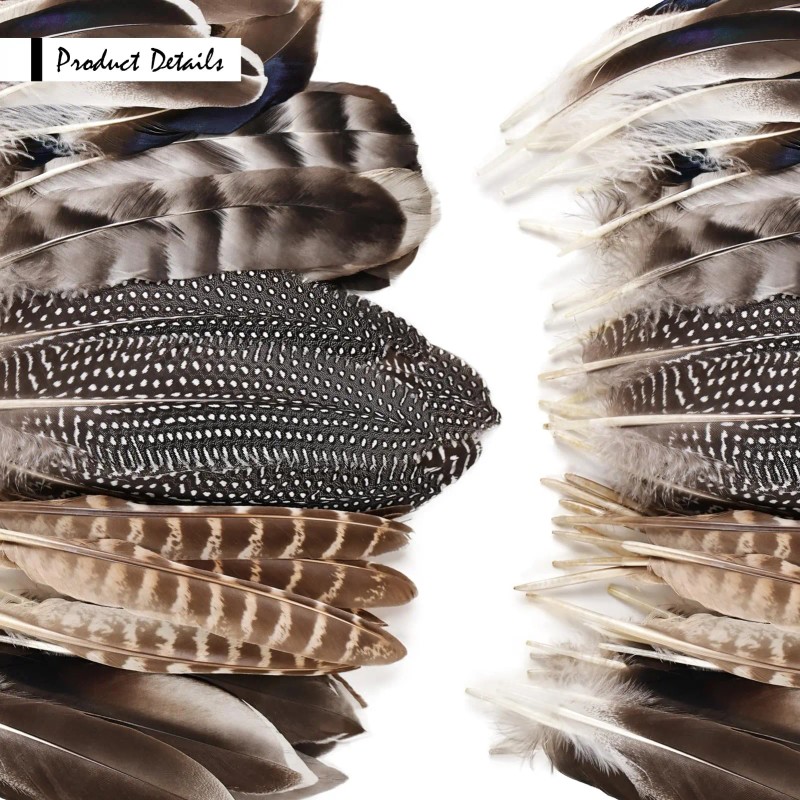 40pcs Natural Pheasant Feathers Bulk Spotted Feathers 5 Styles Mixed