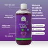 Shampoo De Uva Kids Cero Lágrimas Productos Mart Mexico 500