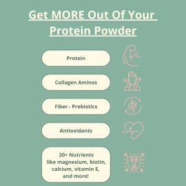 Chocolate Protein Powder for Muscle Support, Recovery & Energy – High-Quality Whey & Plant Protein Blend, Delicious Real Chocolate Flavor
