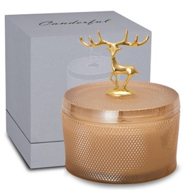 HANDZEE Premium Scented Candles, Home Decor Warming Gifts, Candles Glass Jar Decorative, Candle Gifts Ideal for Creating Relaxing Ambience, Holiday Birthday Gift for Women Men Friend (Baltic Amber)