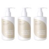 Isntree Yam Vegan Milk Cleanser 220ml 3pcs / 이즈앤트리 참마