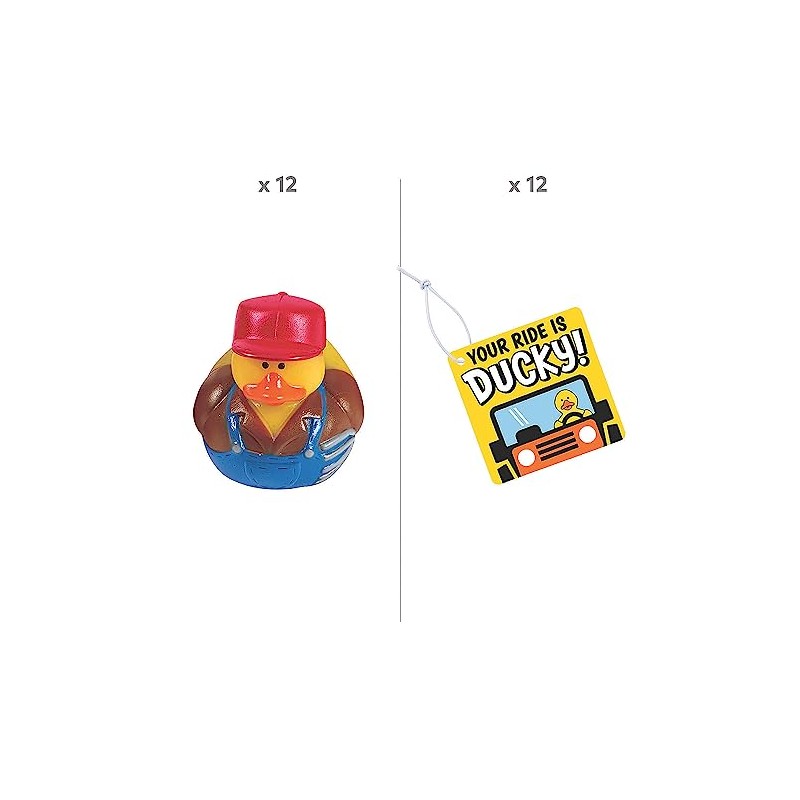 Fun Express Your Ride is Ducky Farm Character Kit for