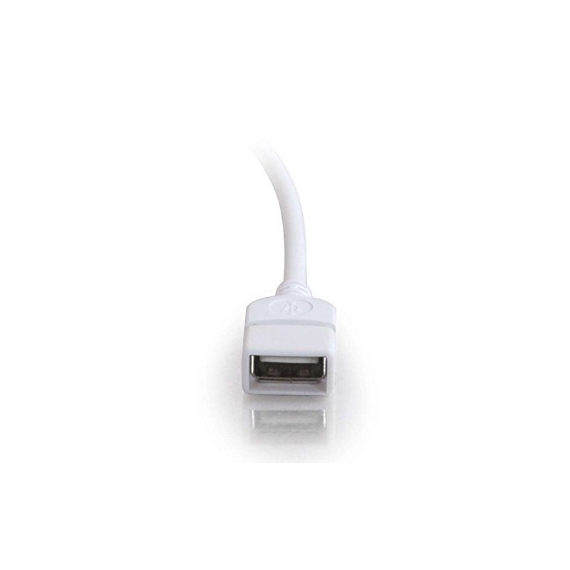 9.8ft (3m) USB 2.0 A Male to A Female Extension