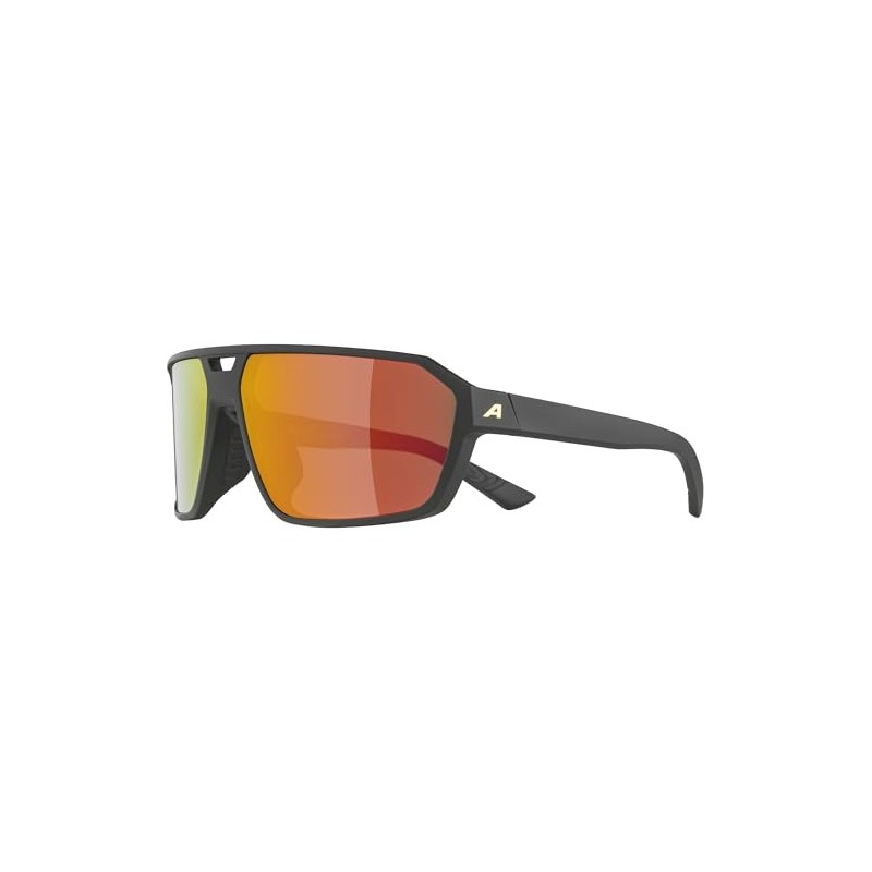 Alpina Swift Sunglasses, Matte Black/Gold, One Size