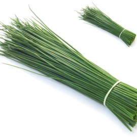 Back To Nature Seed Company Chives - Seeds - Organic - Non Gmo - Heirloom Seeds – Herb Seeds - 200 Seeds