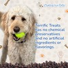 Chasing Our Tails Terrific Trainers Dog Treats - Single Source