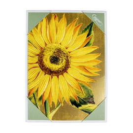 Caspari Sunflower Blank Boxed Note Cards, 32 Cards & Envelopes