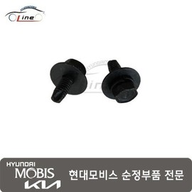 Hyundai Mobis Bolt Washer 11253 06166B / 볼트 와셔 11253 06166B