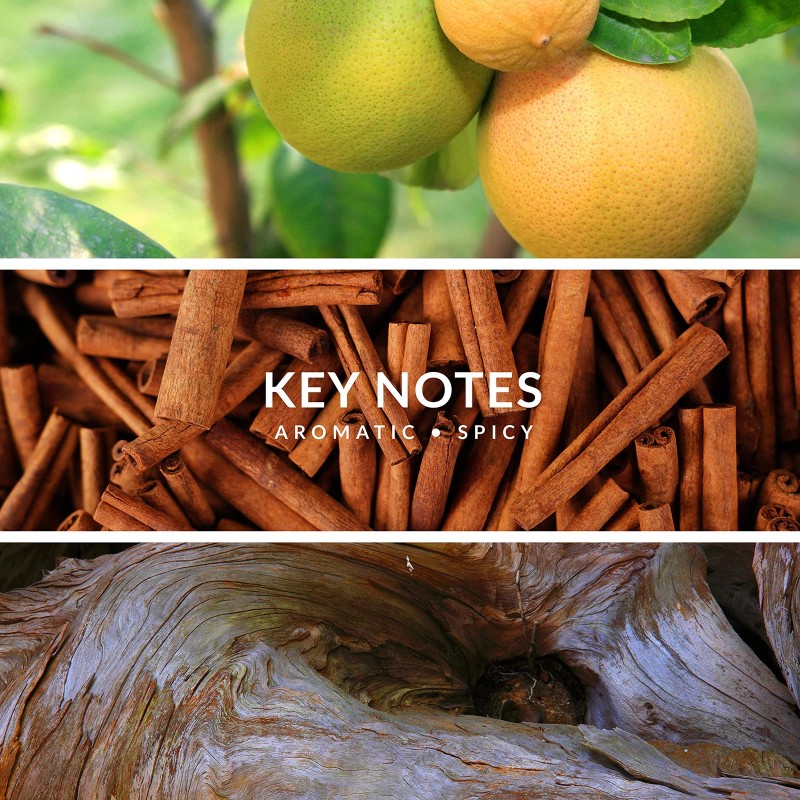 Territoire Cobalt 3.4 oz Eau De Parfum Spray Men