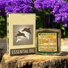 2 Packs - Song Ngu Essential Oil - Dau Nong
