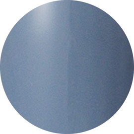 PREANFA PGU-S271 PGU-S271 Color Gel Vale Blue 271 0.1 oz (3 g)