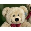 FÖRSTER Schmuse Bär mittel 55cm #2620