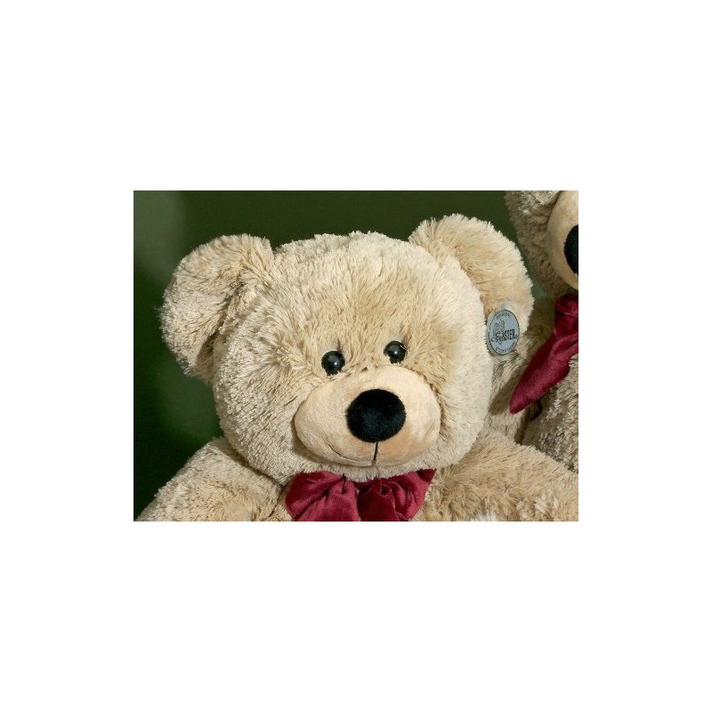 FÖRSTER Schmuse Bär mittel 55cm #2620