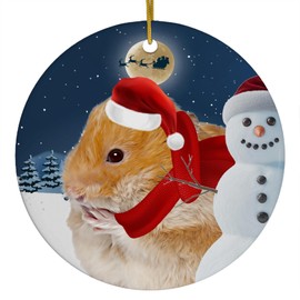 Festive Winter Night Pet and Snowman Ornament - Red Hamster Christmas Ornament Circle Ceramic - Funny Holiday Xmas Tree Decoration Gifts for Hamster Lovers