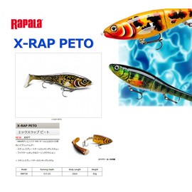 Rapala X-Rap Peto 20 Live Roach