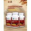Longrich Cordyceps Militaris Capsule-Boosts Immune System(60 capsules) USA Brand