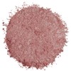 L'Oreal Paris Infallible 24HR Shadow, Always Pearly Pink, 0.12 oz.