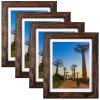 Seseat Rustic Brown 8x10 Picture Frames with Mat - Set