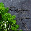 The Humble Co. Plant Based Floss Picks | Charcoal |
