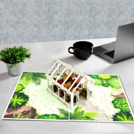 Seyal Lilly 3D Pop Up Birthday Cards Greeting Cards Laser Cut Greenhouse Flower Room for Mom Kids Friends Colleagues Lovers & All Occasions