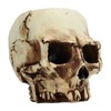 Skull Head Flower Pot Resin High Strength Clear Shape Skull