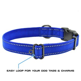 Max and Neo NEO Nylon Buckle Reflective Dog Collar - We Donate a Collar to a Dog Rescue for Every Collar Sold (Large, Teal)