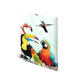 HERMA Portfolio Folder A4 Parrot, Children's Corner Folder Made of Plastic with Animal Motif, Elastic Band, Inner Flaps and Inner Print for Boys and Girls