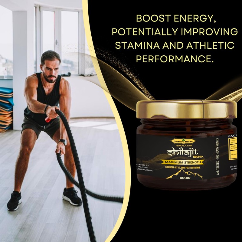 Nature Blaze Himalayan Shilajit Resin (30 Gm / 1.0 Oz)