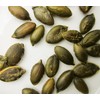 Stony Brook Pepitas (Roasted Pumpkin Seeds) - 16 oz.