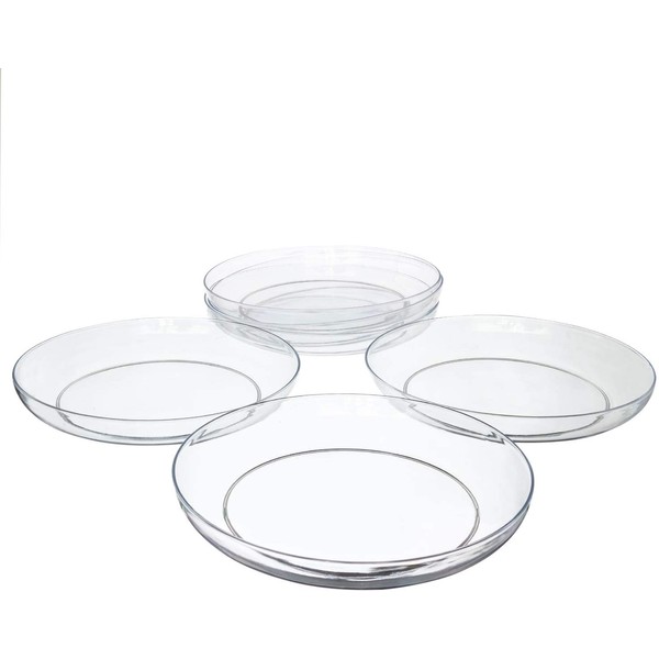 11" Clear Acrylic Low Pie Plate, Floral Flower Dish, Wedding, Party, Home and Holiday Decor, 6 Pack