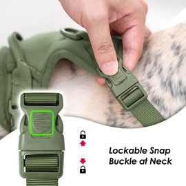 Sunraymascota No Pull Dog Harness, Puppy Vest with Front Clip for Small Medium Large Sized Dog (Misty Green,XS)